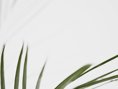 NO.1 King Building Materials and Home Furnishing Center NO.1 King Building Materials and Home Furnishing Center